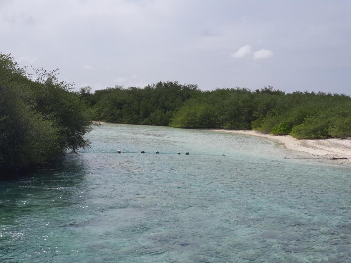 ホテル Orimas Retreat スルスドゥー エクステリア 写真