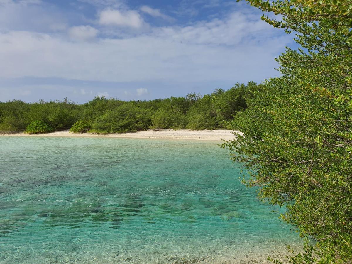 ホテル Orimas Retreat スルスドゥー エクステリア 写真
